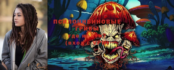 mix Белокуриха