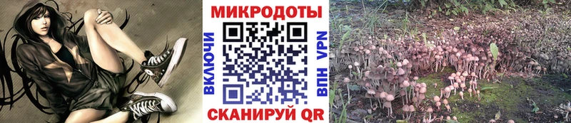 Купить  Поронайск  Галлюциногенные грибы Psilocybe 